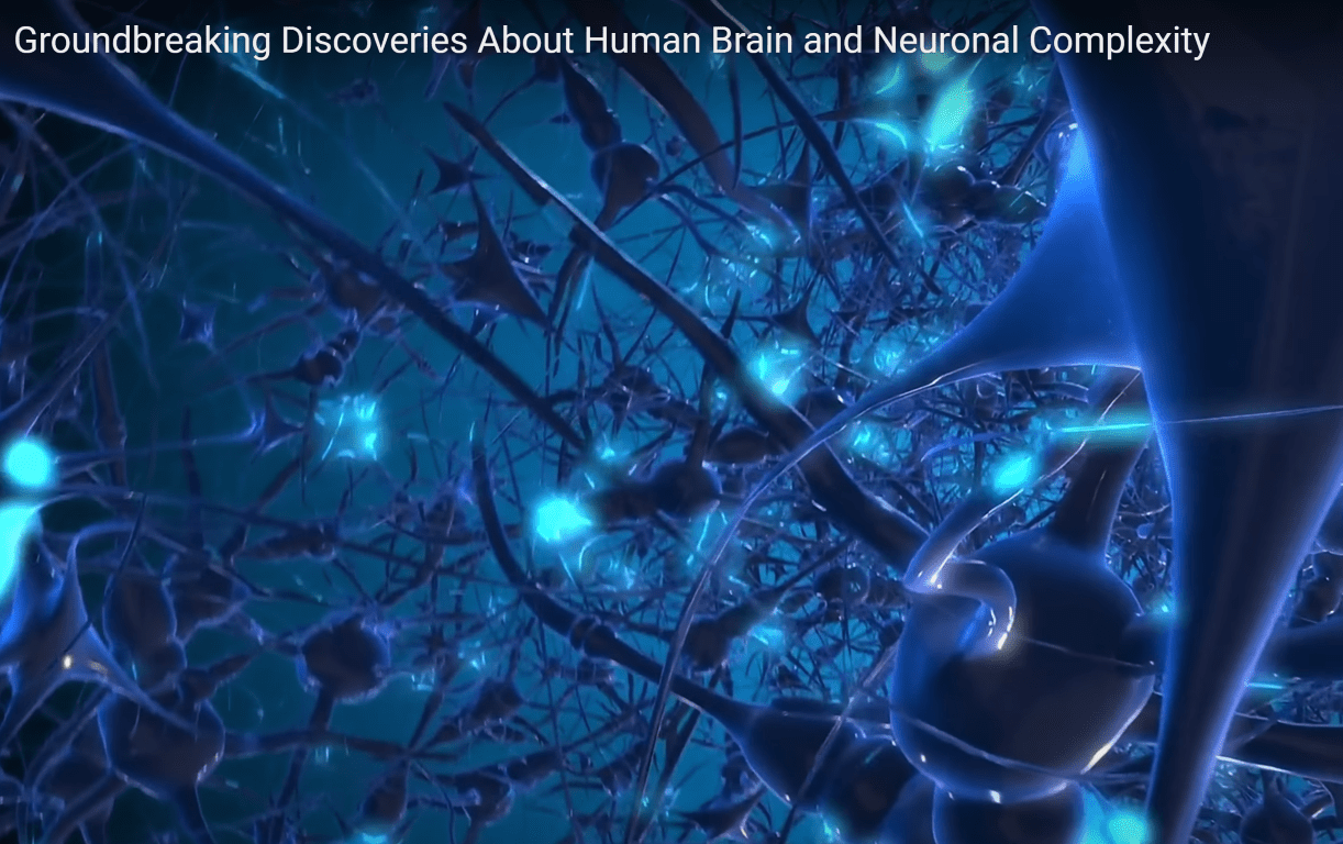 Groundbreaking Discoveries About HumanBrain and Neuronal Complexity